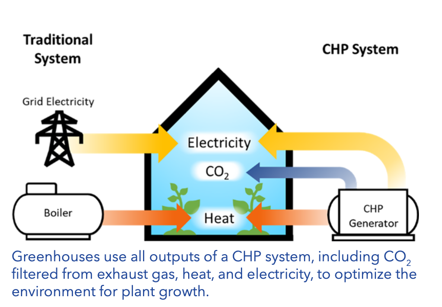 Diagram of CHP