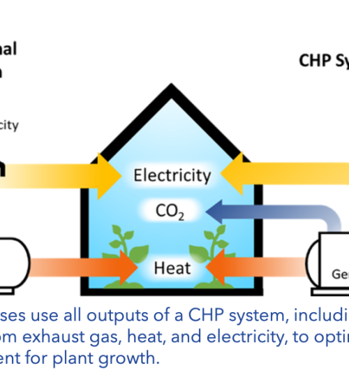 Diagram of CHP